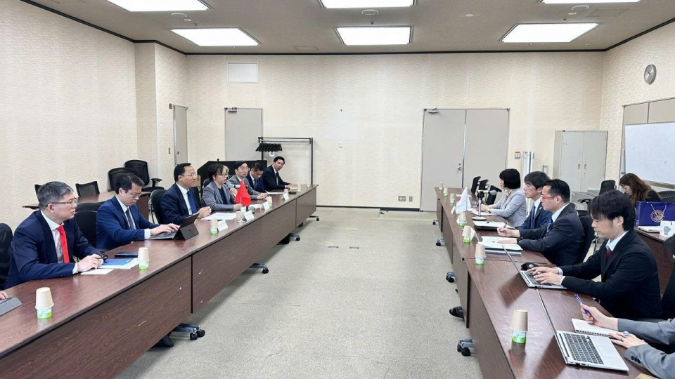 Vietnam and Japan enhance energy cooperation